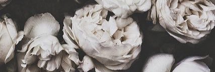 SadieMarie_94's profile banner image