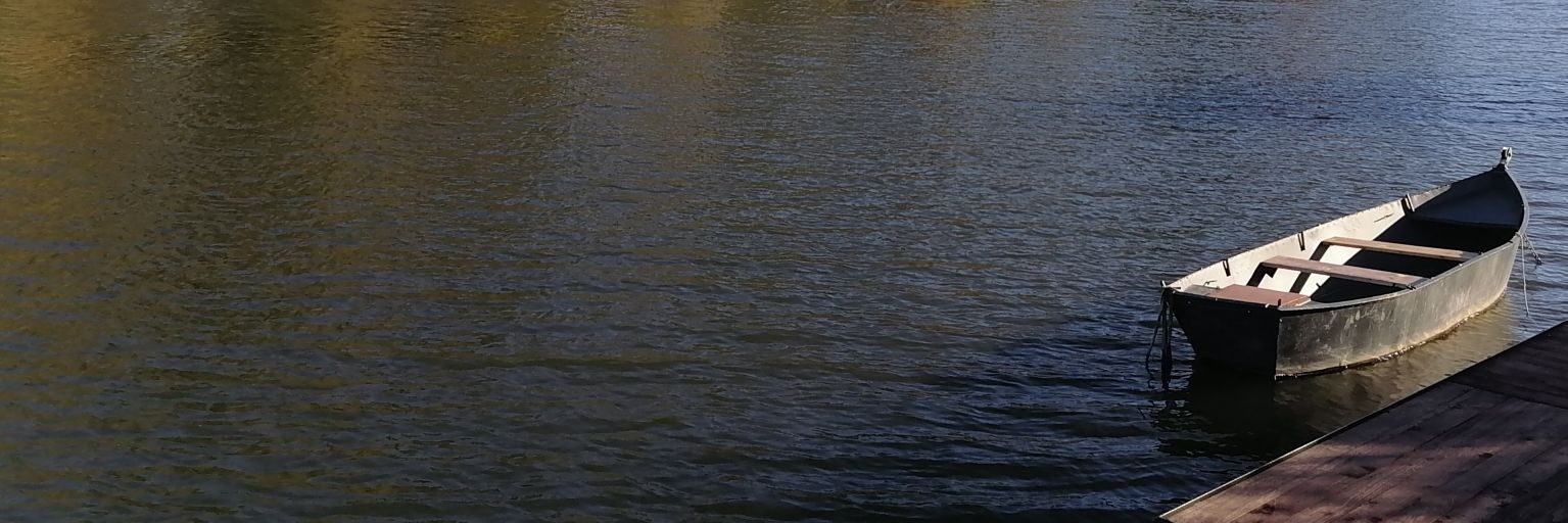 brigittegrn's profile banner image