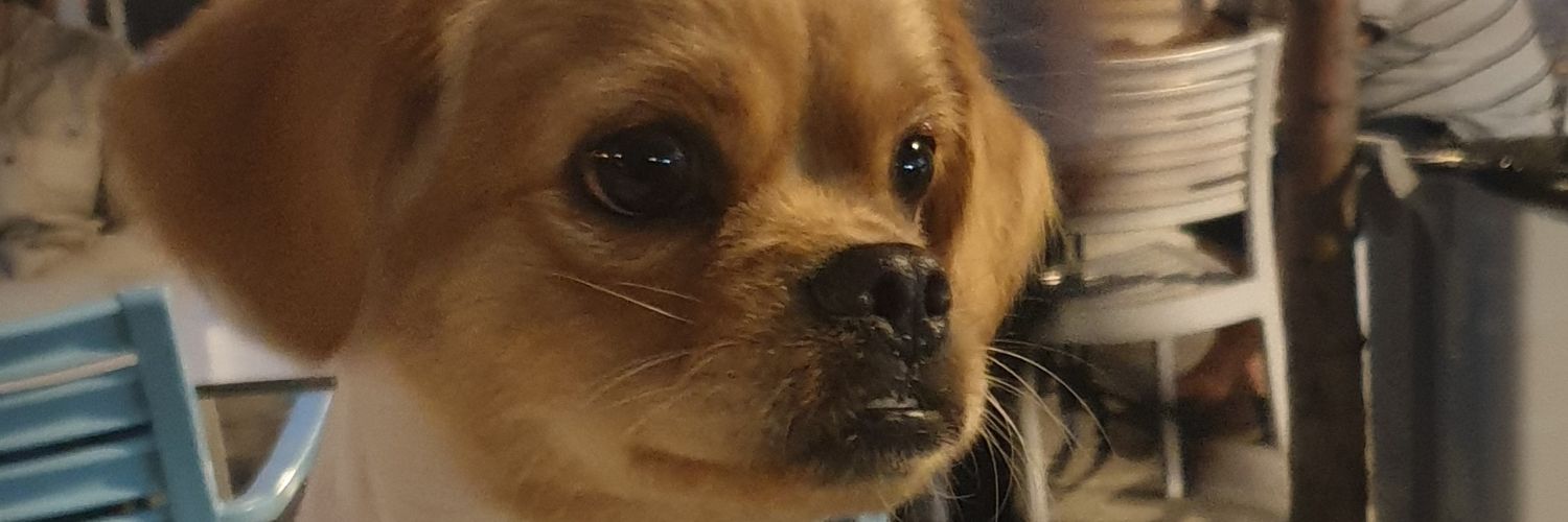 Assspasia's profile banner image