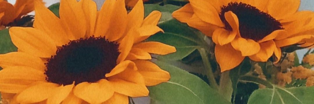 morenomaria03's profile banner image