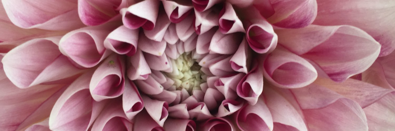 anna_bess2's profile banner image
