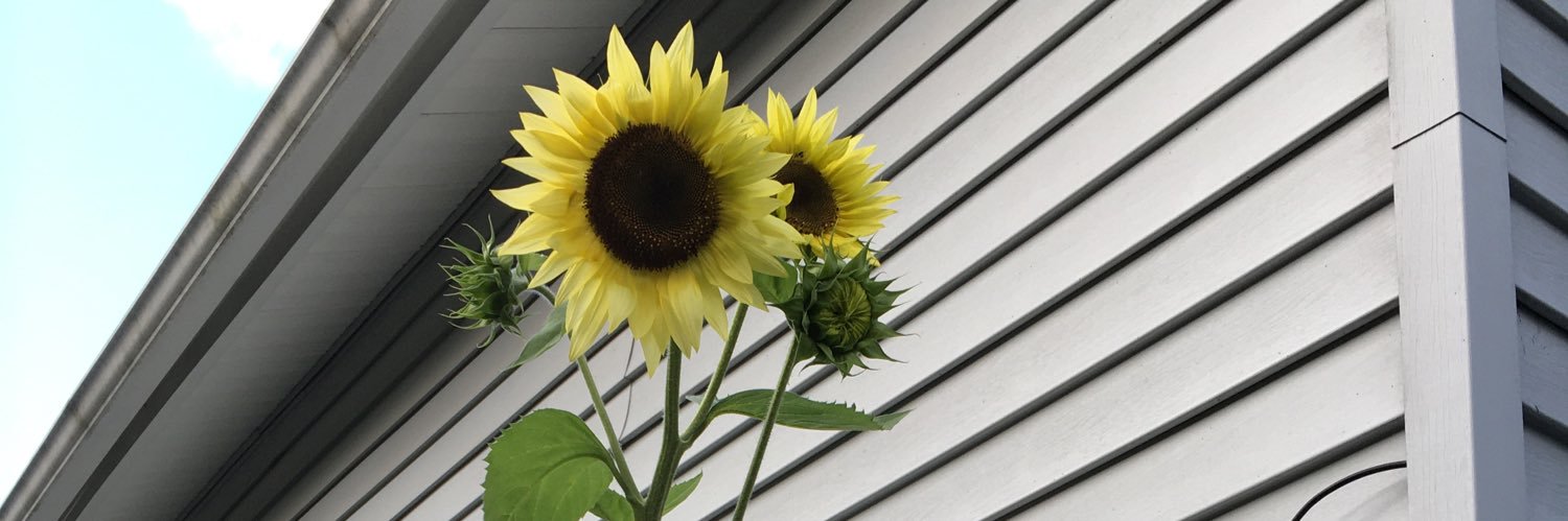 elliesully2's profile banner image