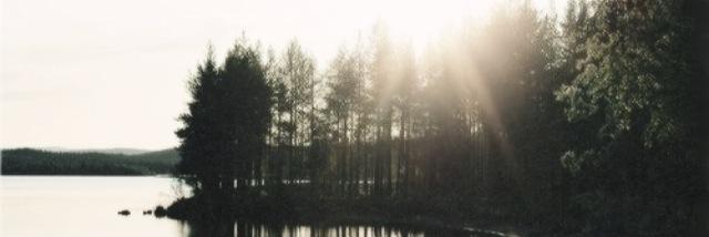 tayfrodite's profile banner image