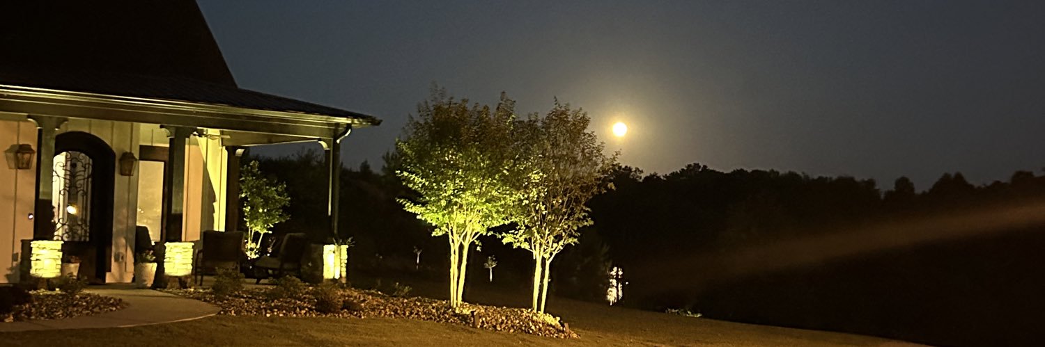 Joey Ferolito banner