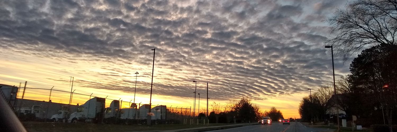 Colonel Bleep banner