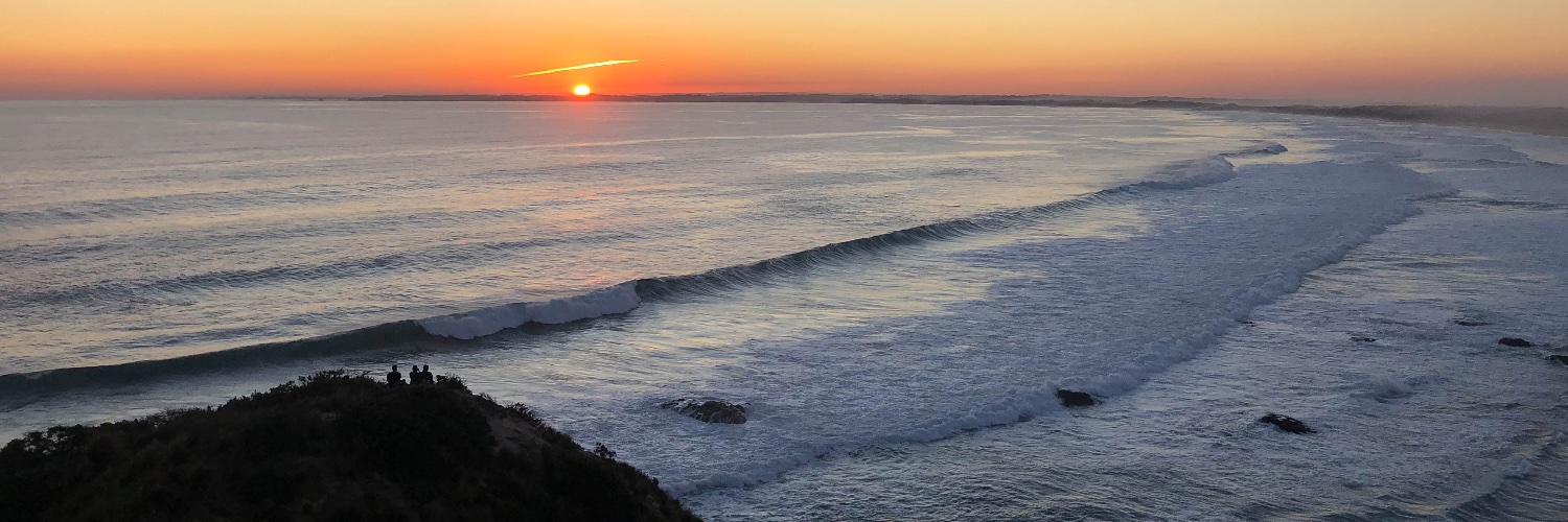 Alberto Meucci banner