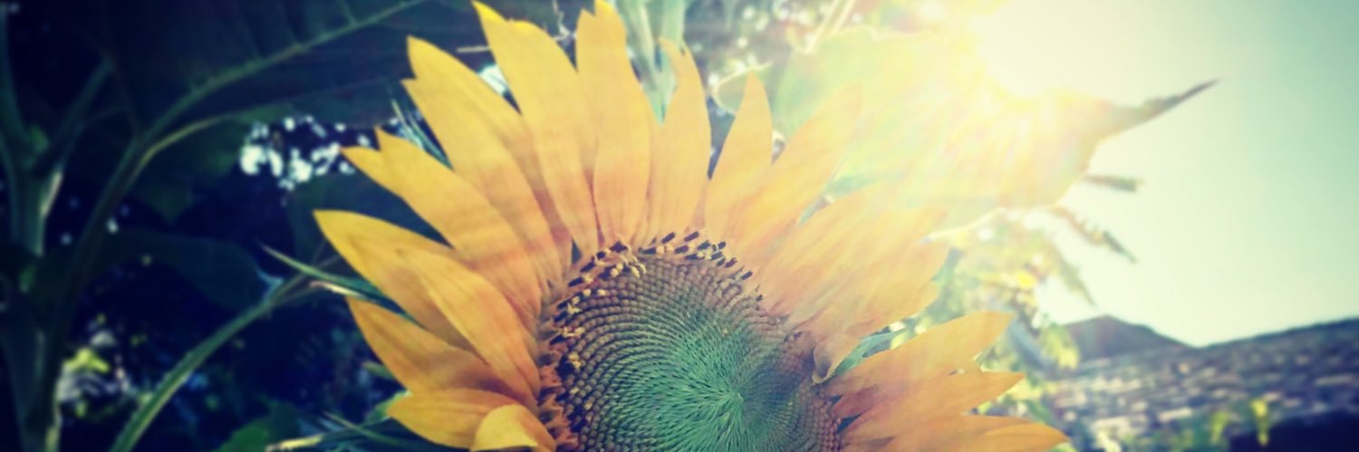 NicWal127's profile banner image