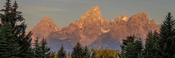 WyoJudyShepard Profile Banner