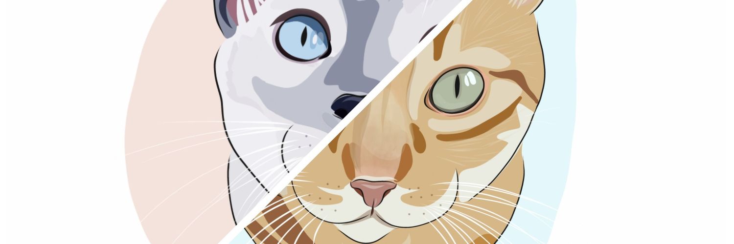 Bel_Lune8's profile banner image