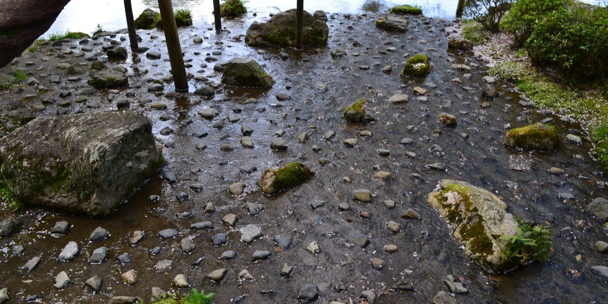 Sarah Ketchersid banner