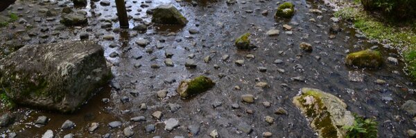 SarahKedits Profile Banner