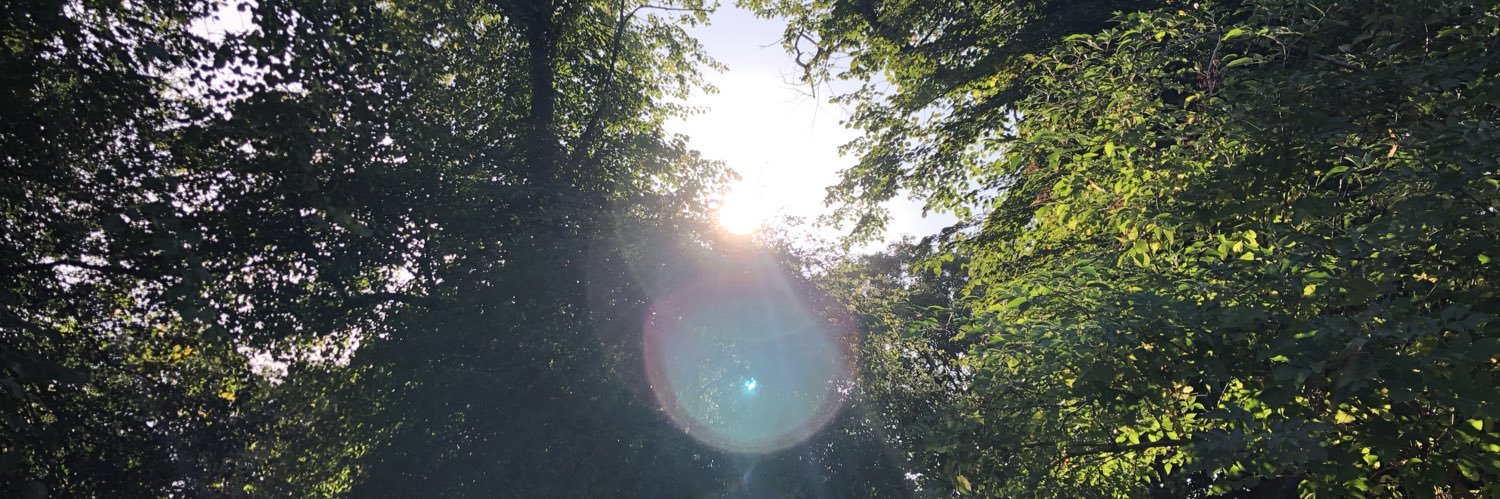 AlexParkMCR's profile banner image