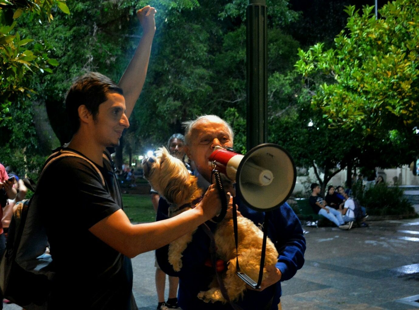 LucasAnimalito's profile banner image