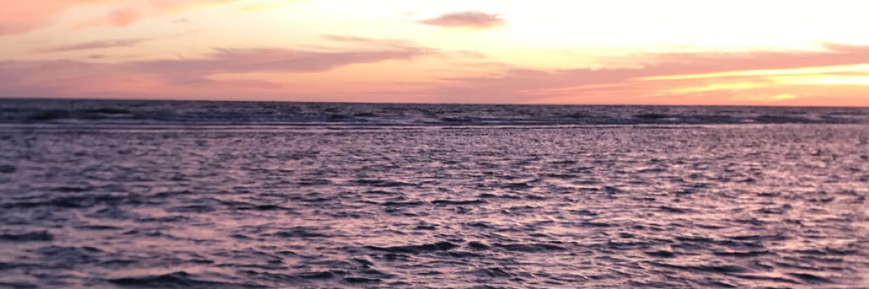 RainesWhite's profile banner image