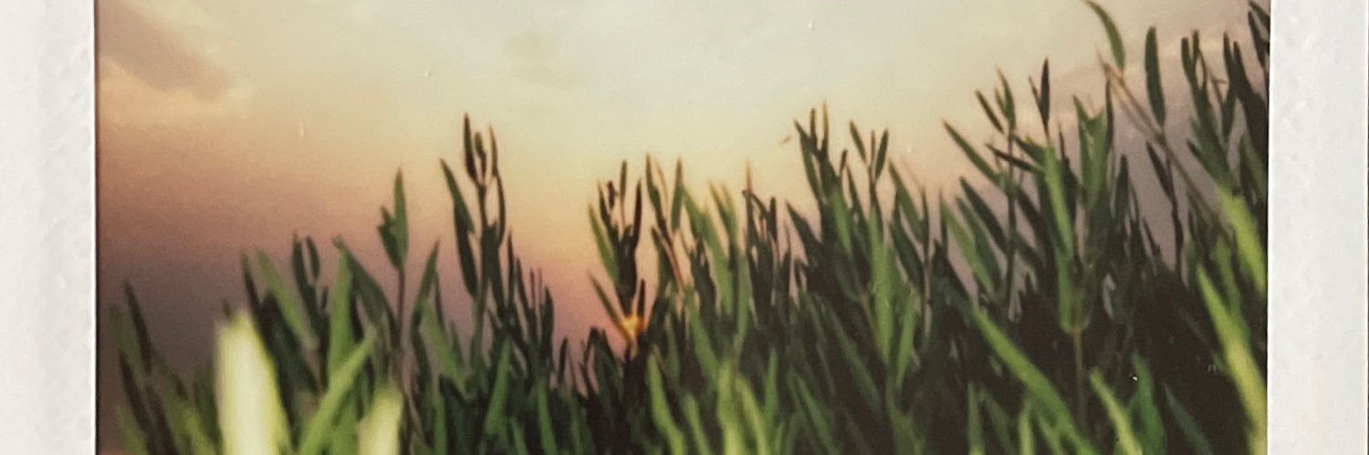 nat banner