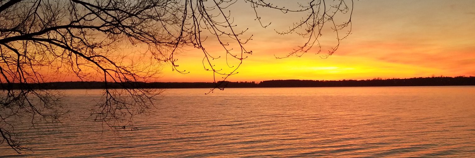 Stephen Bryce(bsky@stephenbryce/🧵@stephenhdbryce) banner