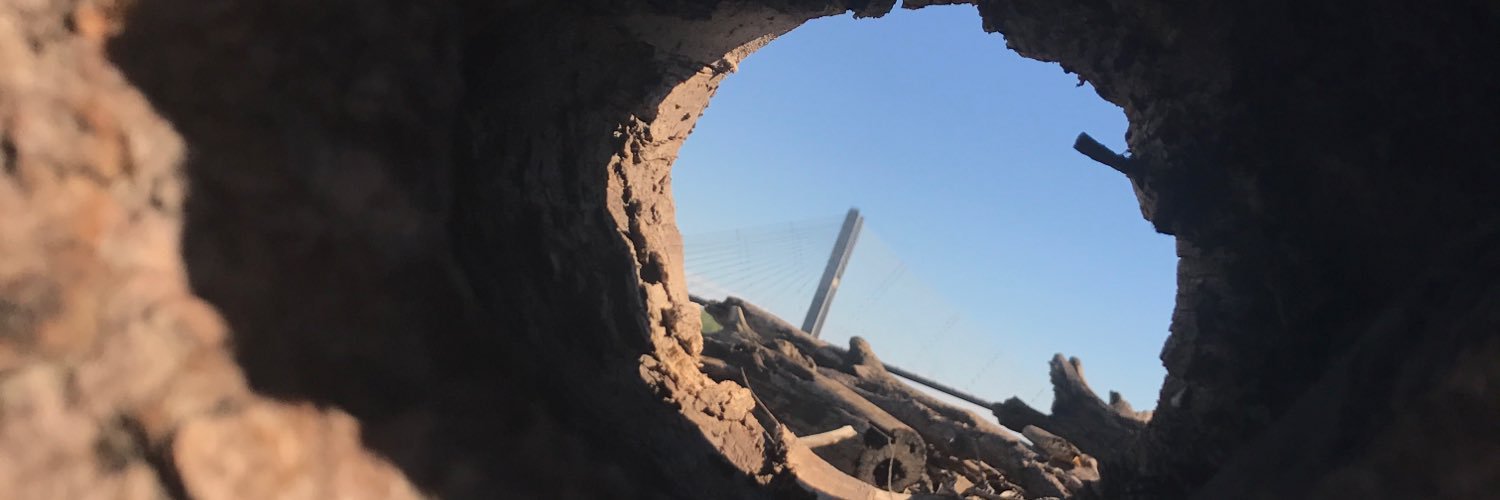 JillyyBee's profile banner image