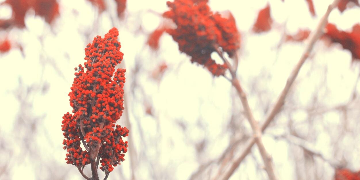 BNPhillips's profile banner image