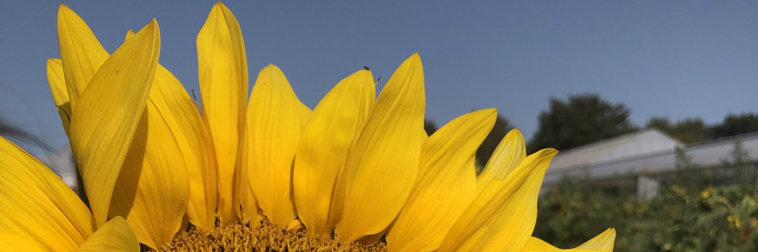 luciacalde's profile banner image