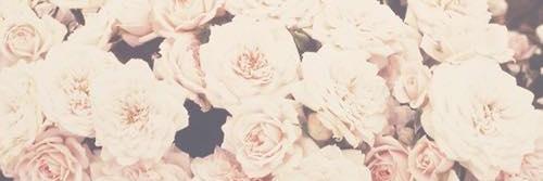 christinecombee's profile banner image