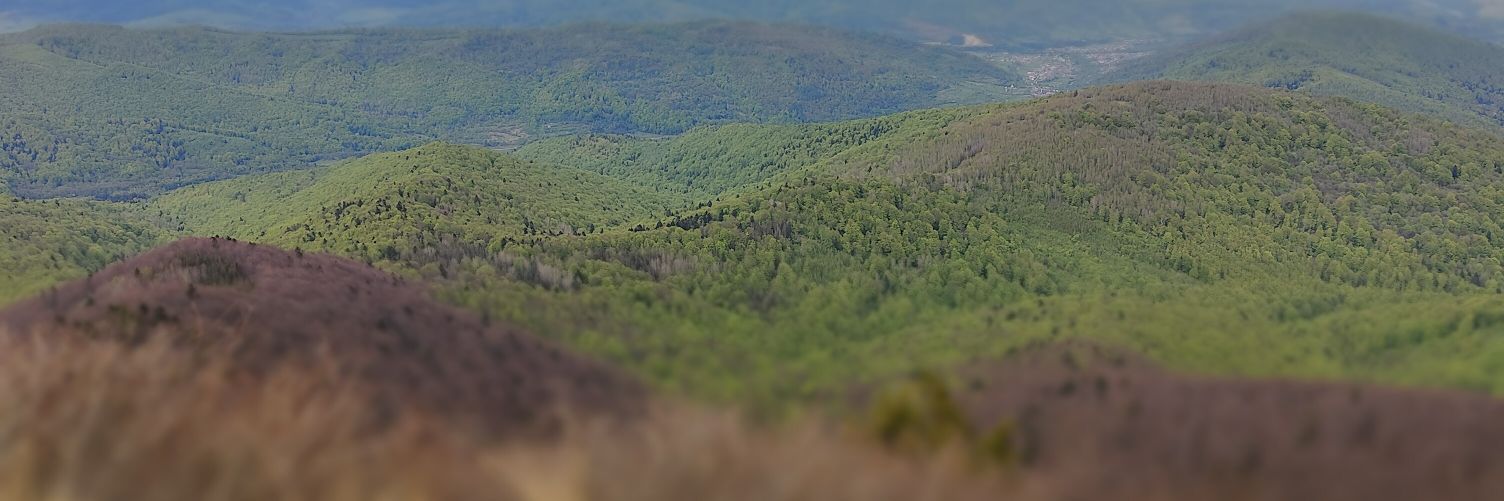 Roman Kropyvnytskyy banner