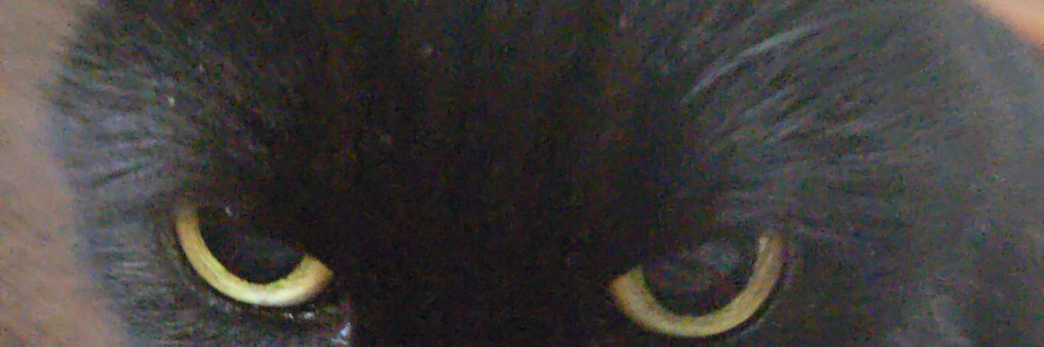 JinxMyCat's profile banner image