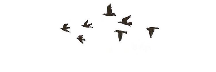 Rone550's profile banner image