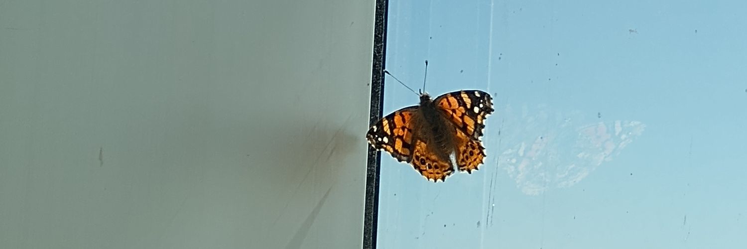 mateosapiens's profile banner image