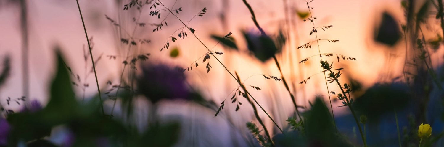 thefondones's profile banner image