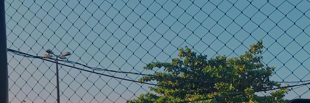 leticiaraujoa's profile banner image
