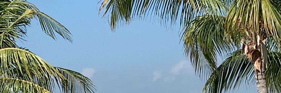 AlMousaNouf's profile banner image