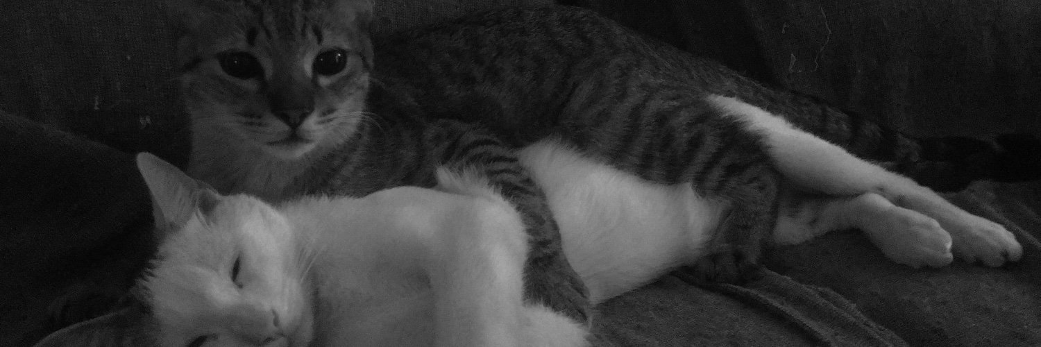 birra__'s profile banner image