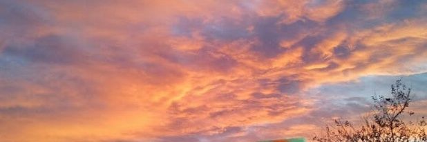 YPADra's profile banner image