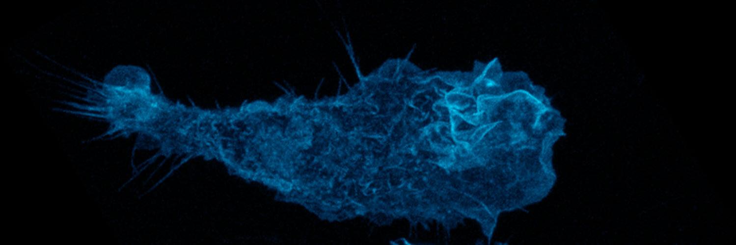 Robin May - is now over on BLUESKY instead. banner