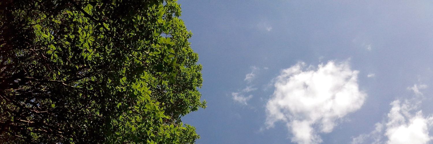 saintgi's profile banner image