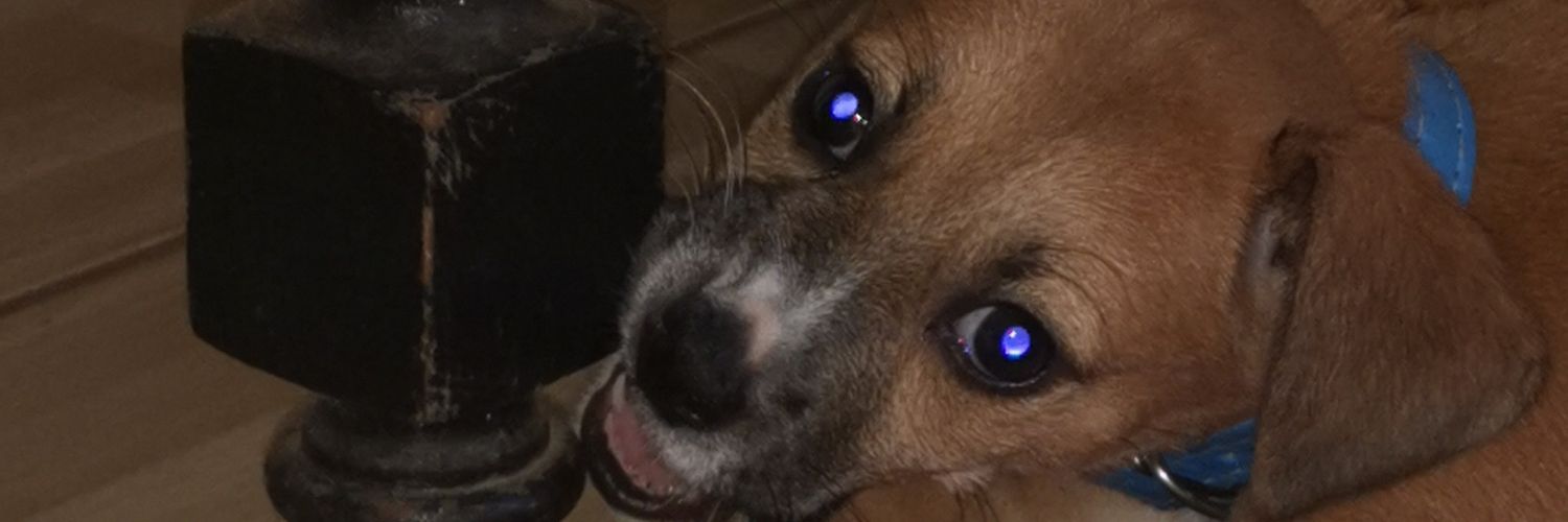 tobiavila's profile banner image