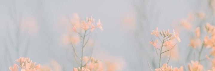 duwita's profile banner image