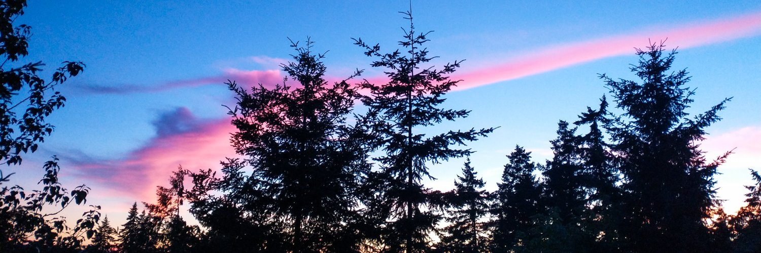 DannyPolacek's profile banner image