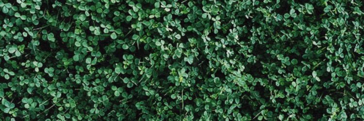 JackieDH88's profile banner image