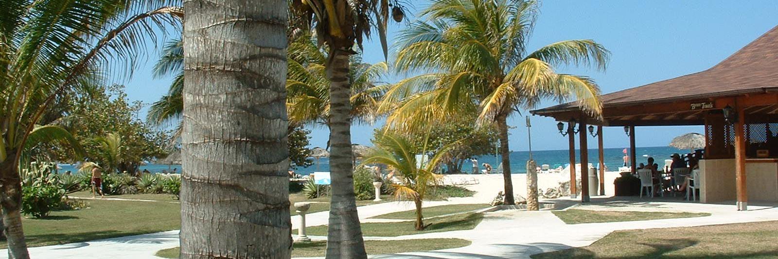 Kelly McKenzie banner