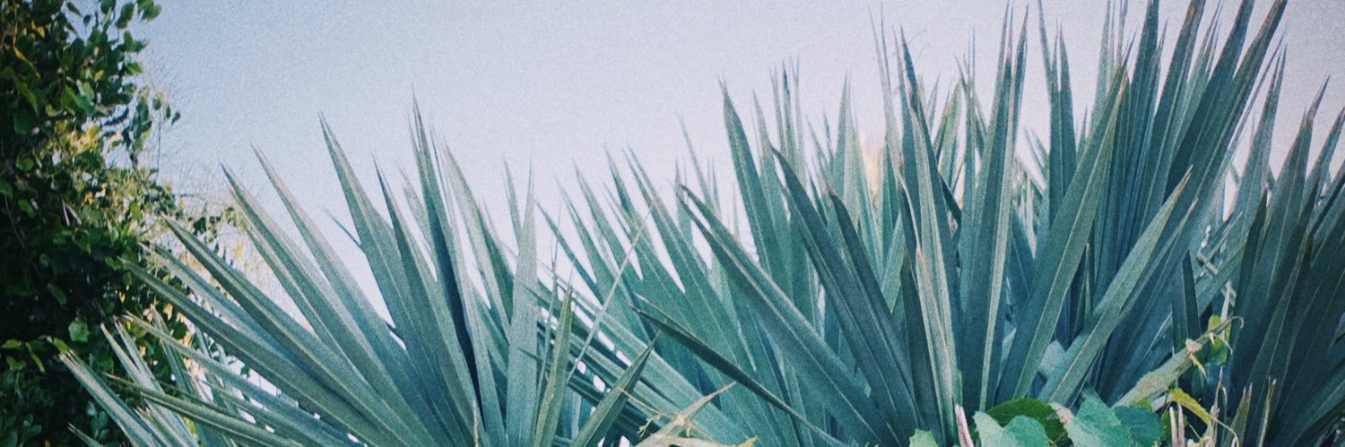 eejonesss's profile banner image