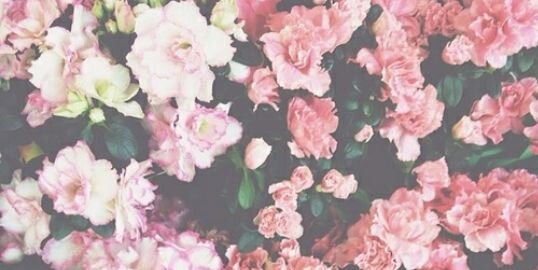 _xNATASJA's profile banner image