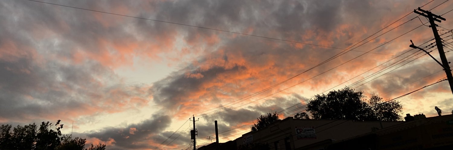 thisbitchilly's profile banner image
