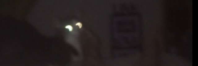 _whoopB's profile banner image