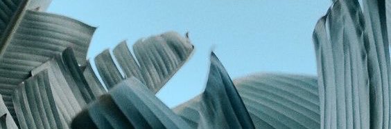 UnTributoMas's profile banner image
