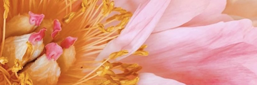 chloefouchereau's profile banner image