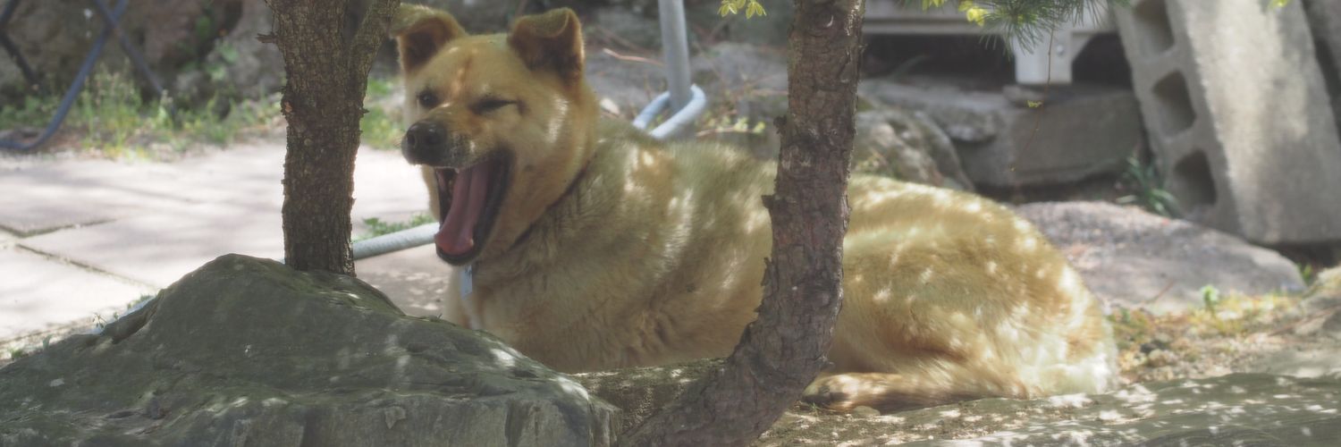 kancan76's profile banner image