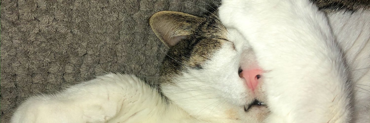 MackenzieCall13's profile banner image