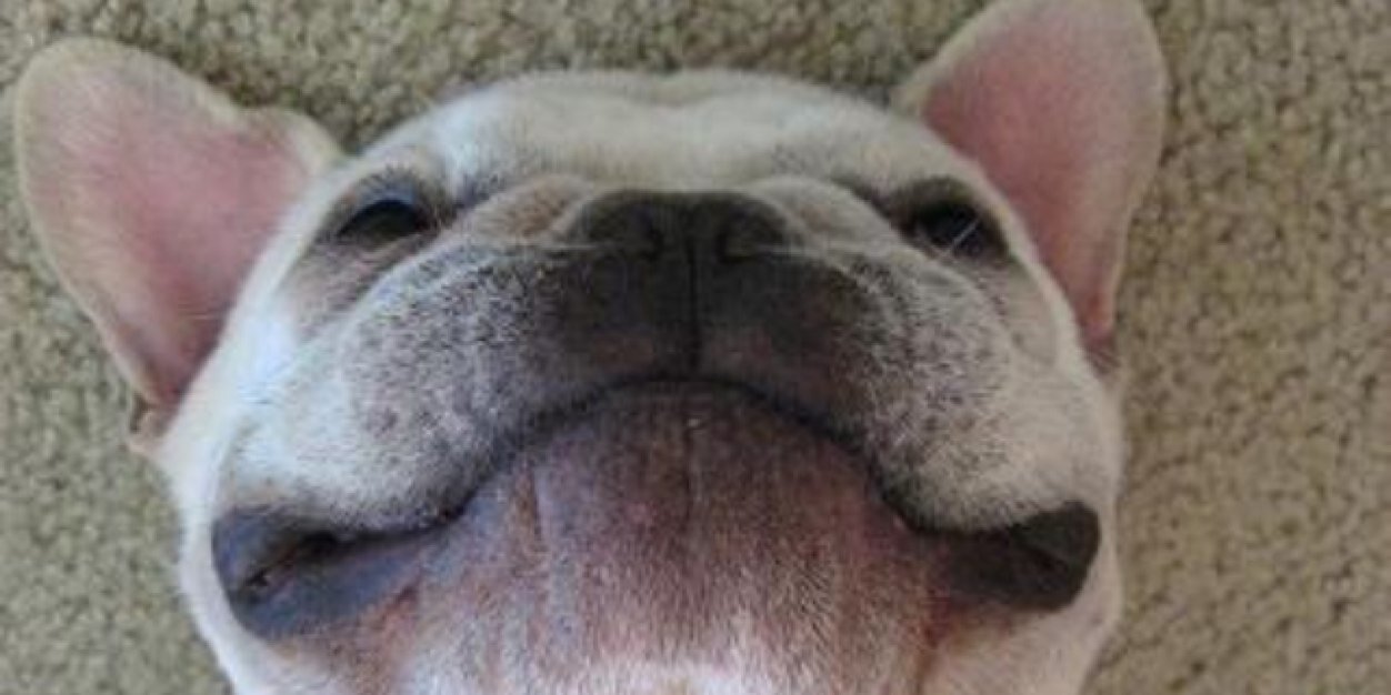 _DavidM19's profile banner image
