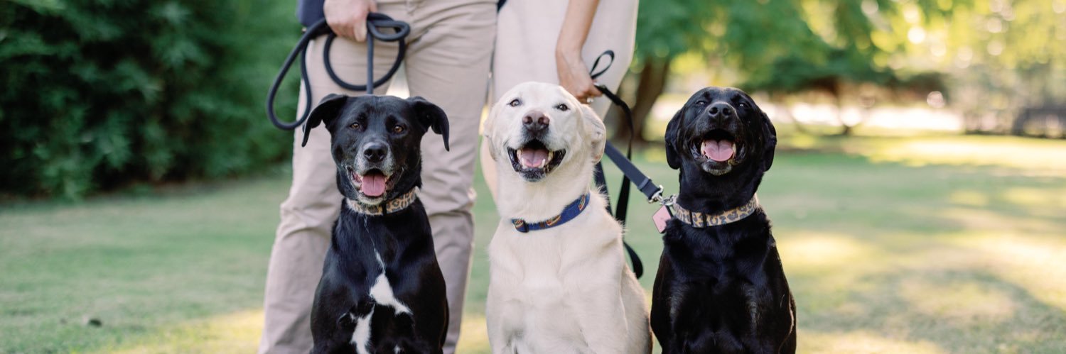 Mallory Huddleston banner